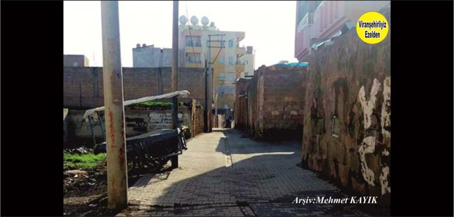 Viranşehir Tekye Mahallesinde Bir Sokağa Ait Fotoğraf  