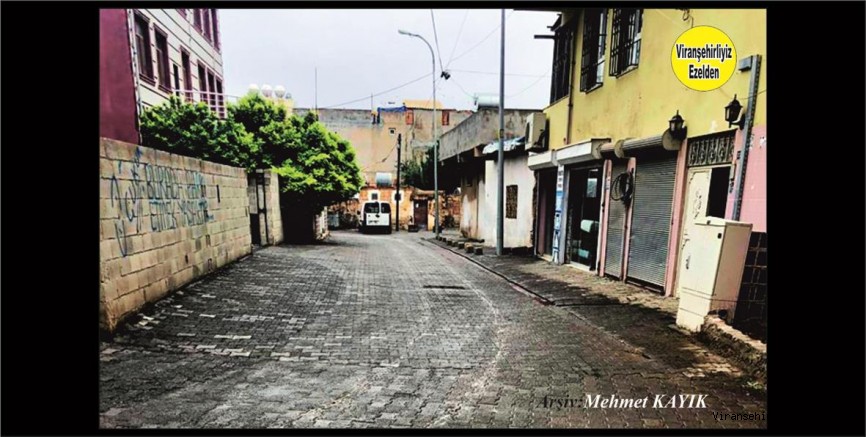 Viranşehir Tekye Mahallesinde Muhtarın Titiz Çalışmaları Sonucunda Temiz ve Bakımlı Bir Sokağı