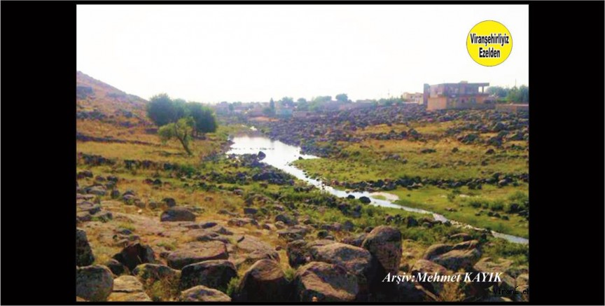 Viranşehir Tılbender Köyü Deresi