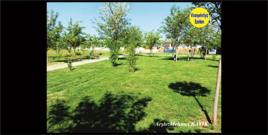 Viranşehir Yeni Hal Pazarı İç Kısım Dinlenme Parkı 