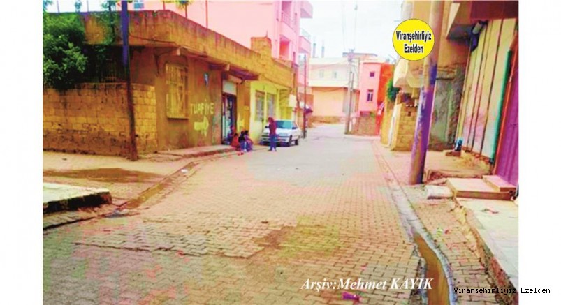 Viranşehir Yeni Mahalle 751 Nolu Sokak