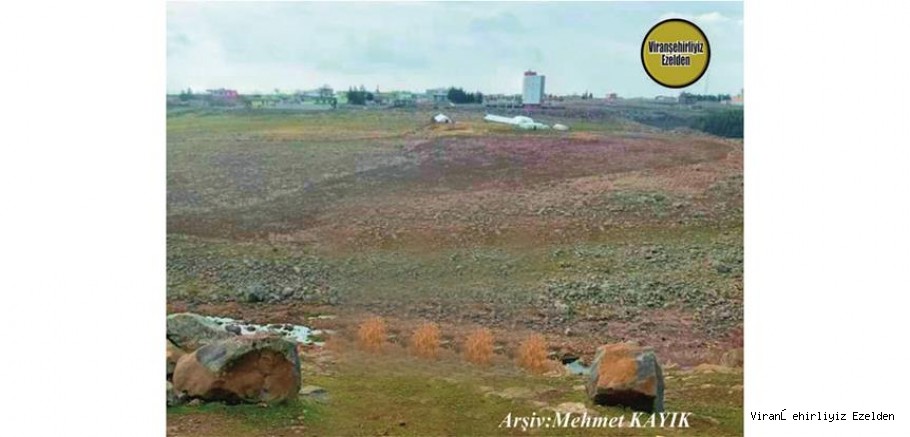 Viranşehir Yenişehir Mahallesi Curcup Bölgesi 