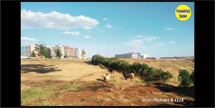 Viranşehir Yenişehir Mahallesi Gençlik Merkezi Bölgesi 
