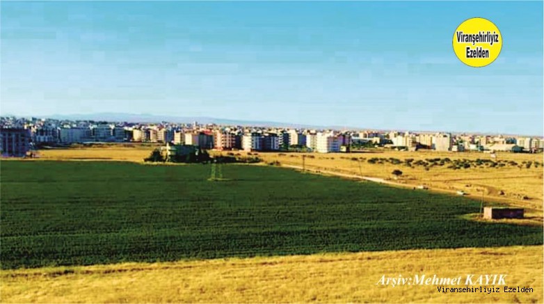 Viranşehir Yenişehir Mahallesinin Genel Görünüşü