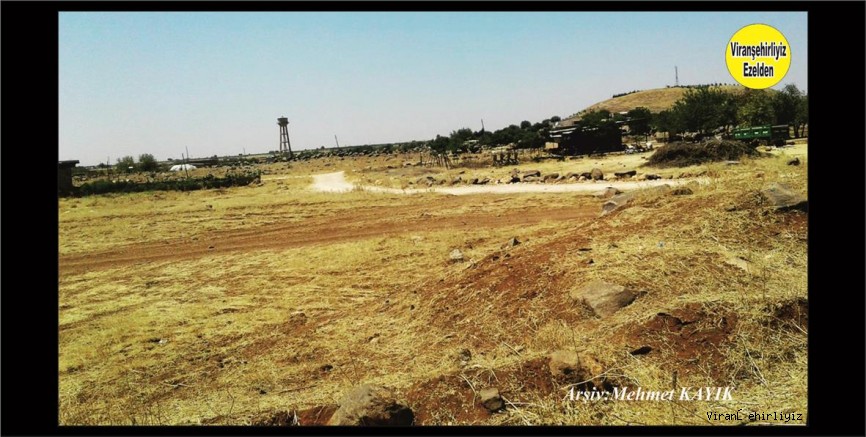 Viranşehir Yollarbaşı(Tılgoran) Köyü 